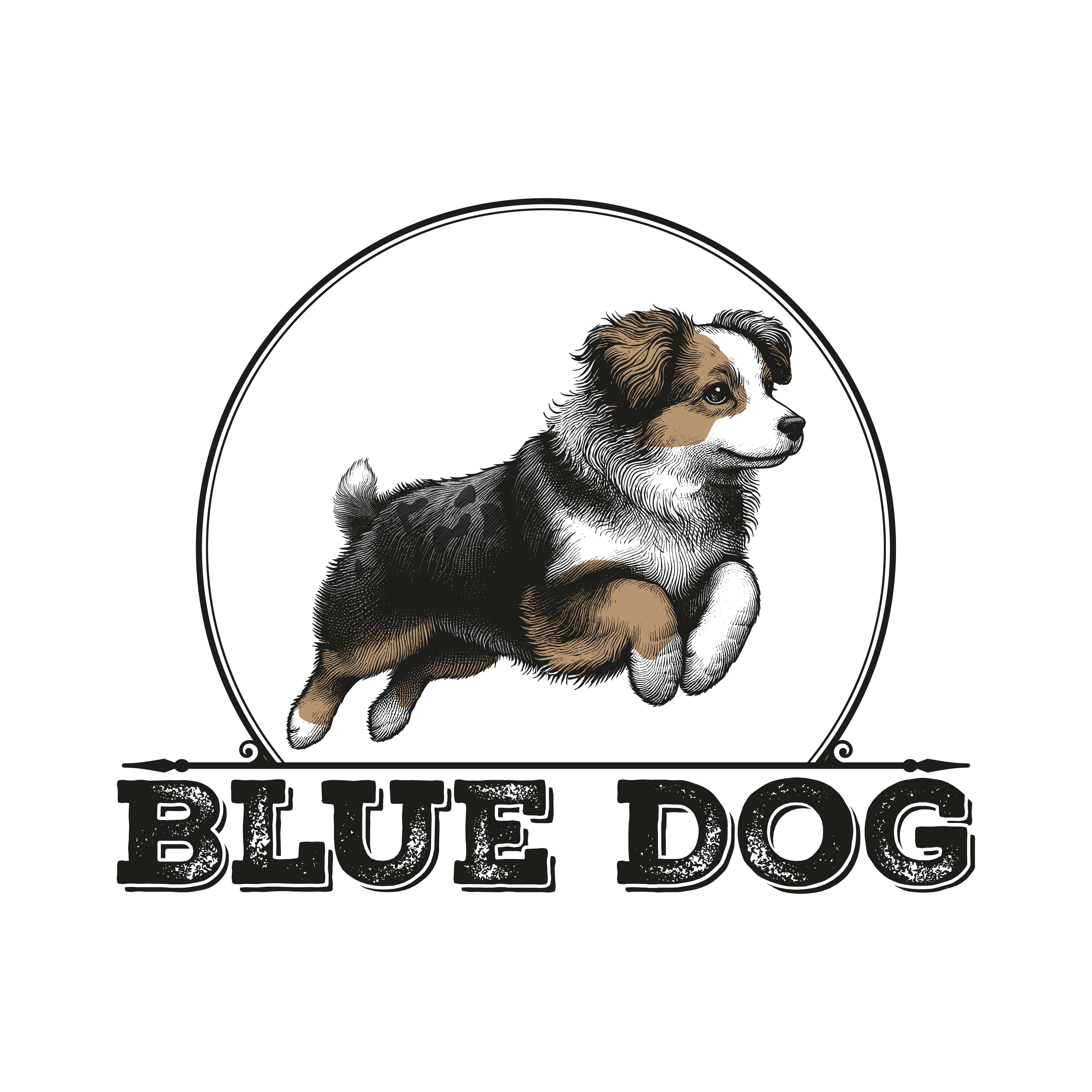 Blue Dog Photography | Miniature American Shepherd
